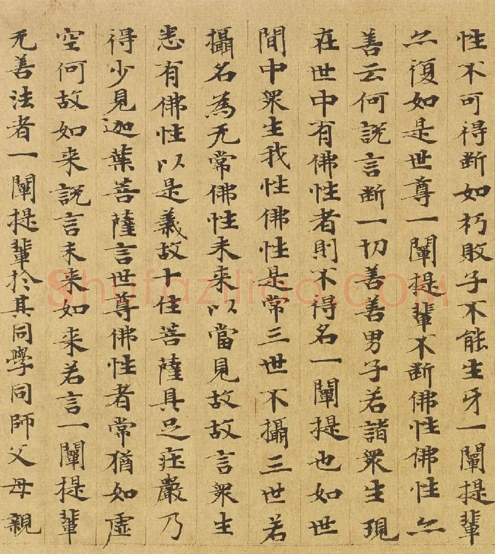 楷书高清大图欣赏《大般涅槃经迦叶菩萨品第十二》 | 敦煌写经欣赏