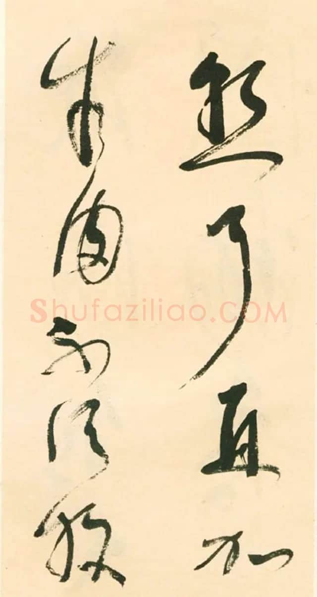江上老人林散之草书欣赏《毛主席词二首》 | 软笔书法作品