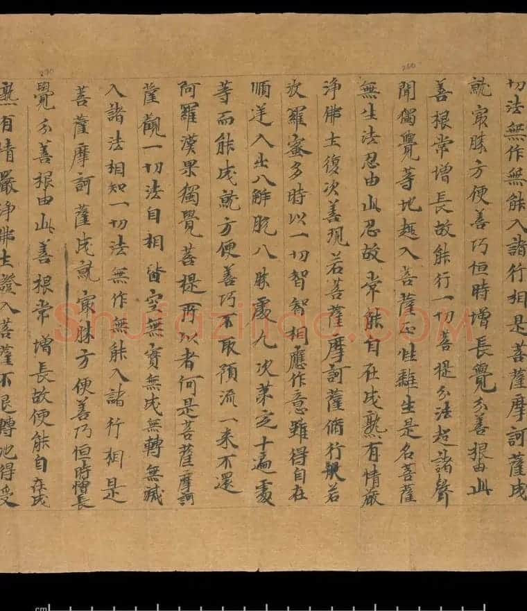 大般若波罗蜜多经卷第四百六十四 俄罗斯藏本 | 敦煌写经欣赏