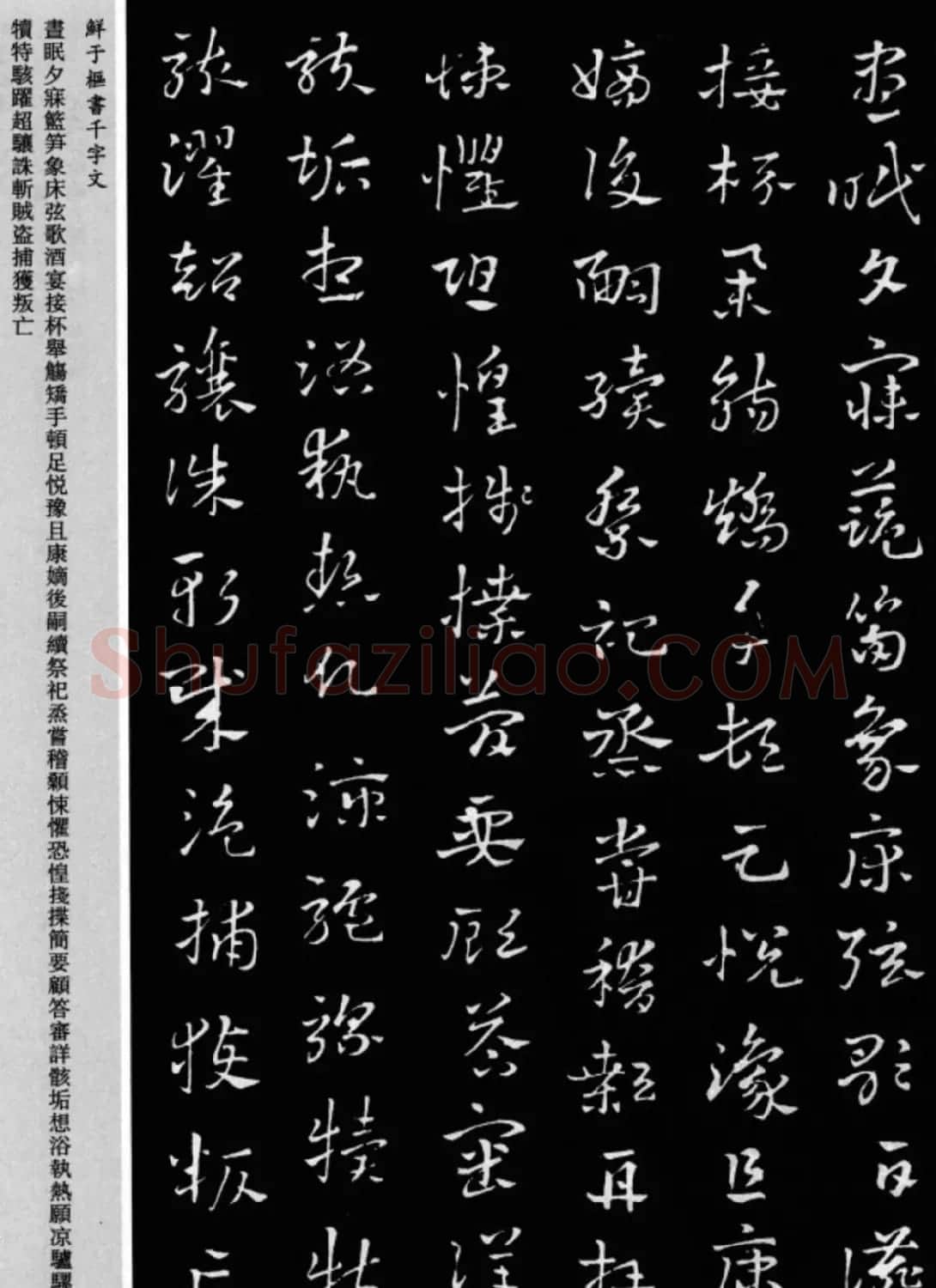 鲜于枢章草书法欣赏《千字文》大图 | 软笔草书字帖