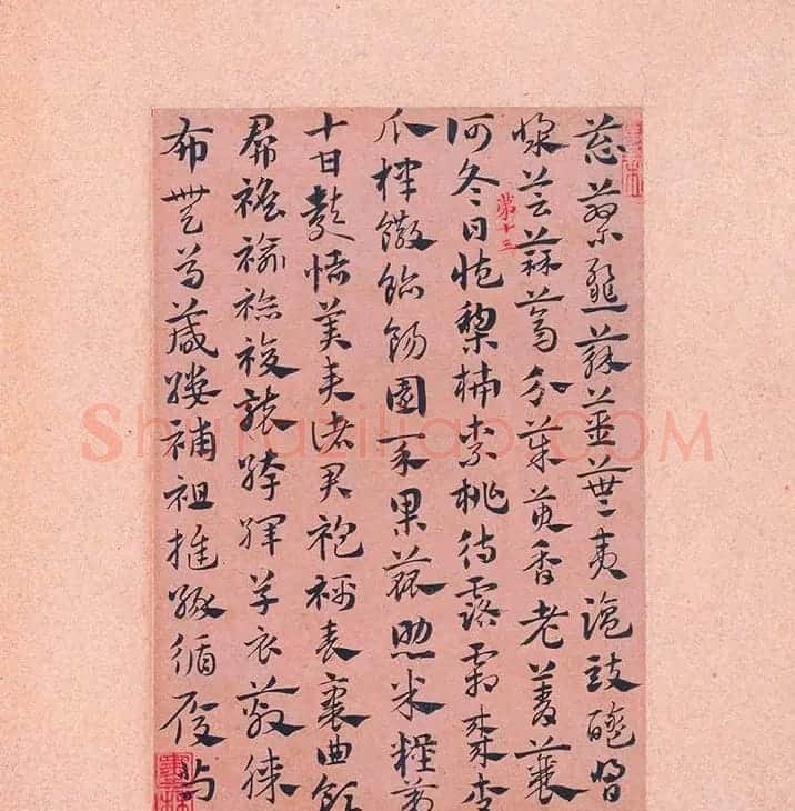 赵孟頫56岁章草《急就章》上海博物馆藏 | 书法名家作品鉴赏