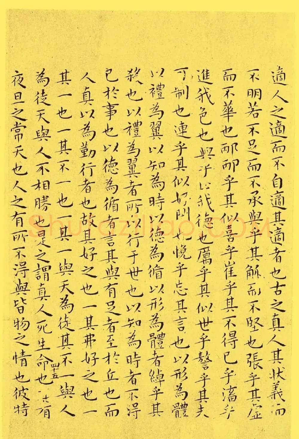 明代书法家王宠小楷欣赏《南华真经内七篇》 | 书法名家作品欣赏