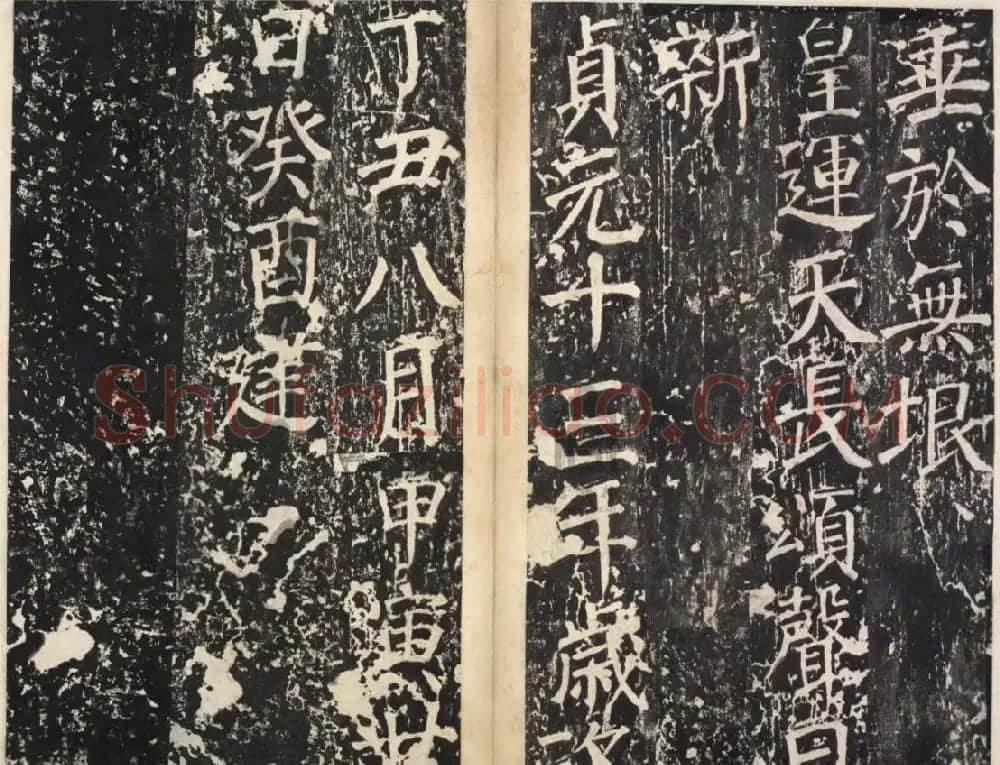唐代韦纵书法《盐池灵庆公颂》 | 书法碑帖