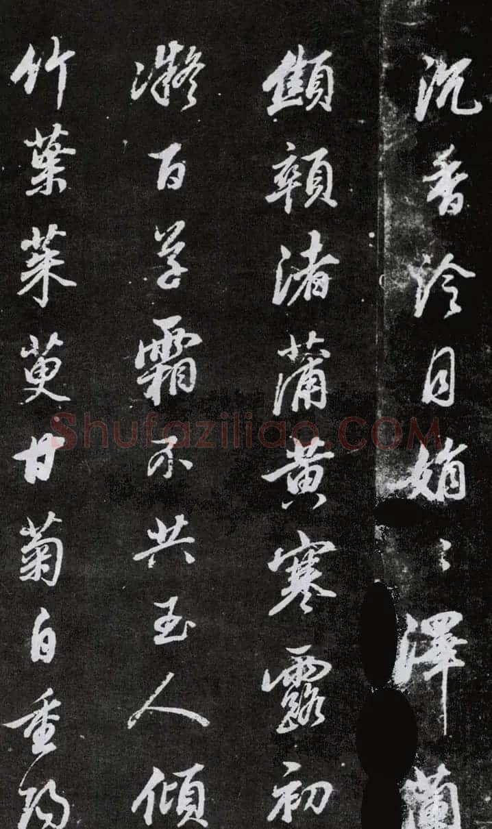 董其昌行书欣赏《桑寄生传》拓本 | 名家书法作品赏析