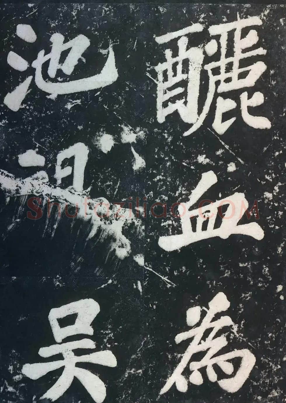 苏东坡43岁大字楷书《表忠观碑帖》 | 软笔书法作品