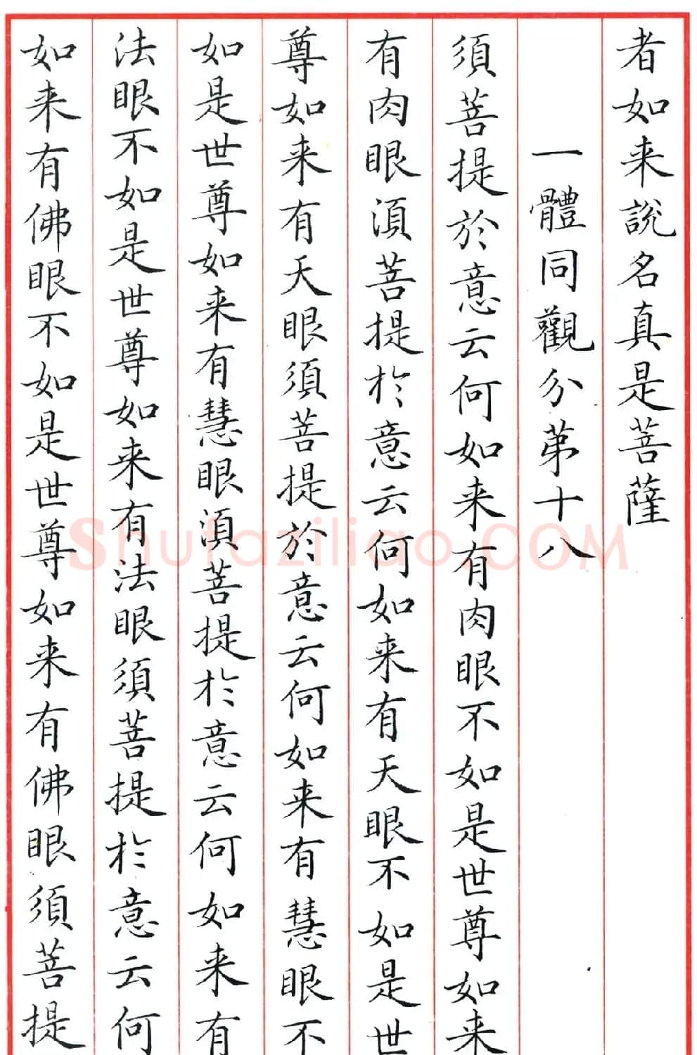 梁林小楷书法《金刚经三十二品》 | 书法作品鉴赏