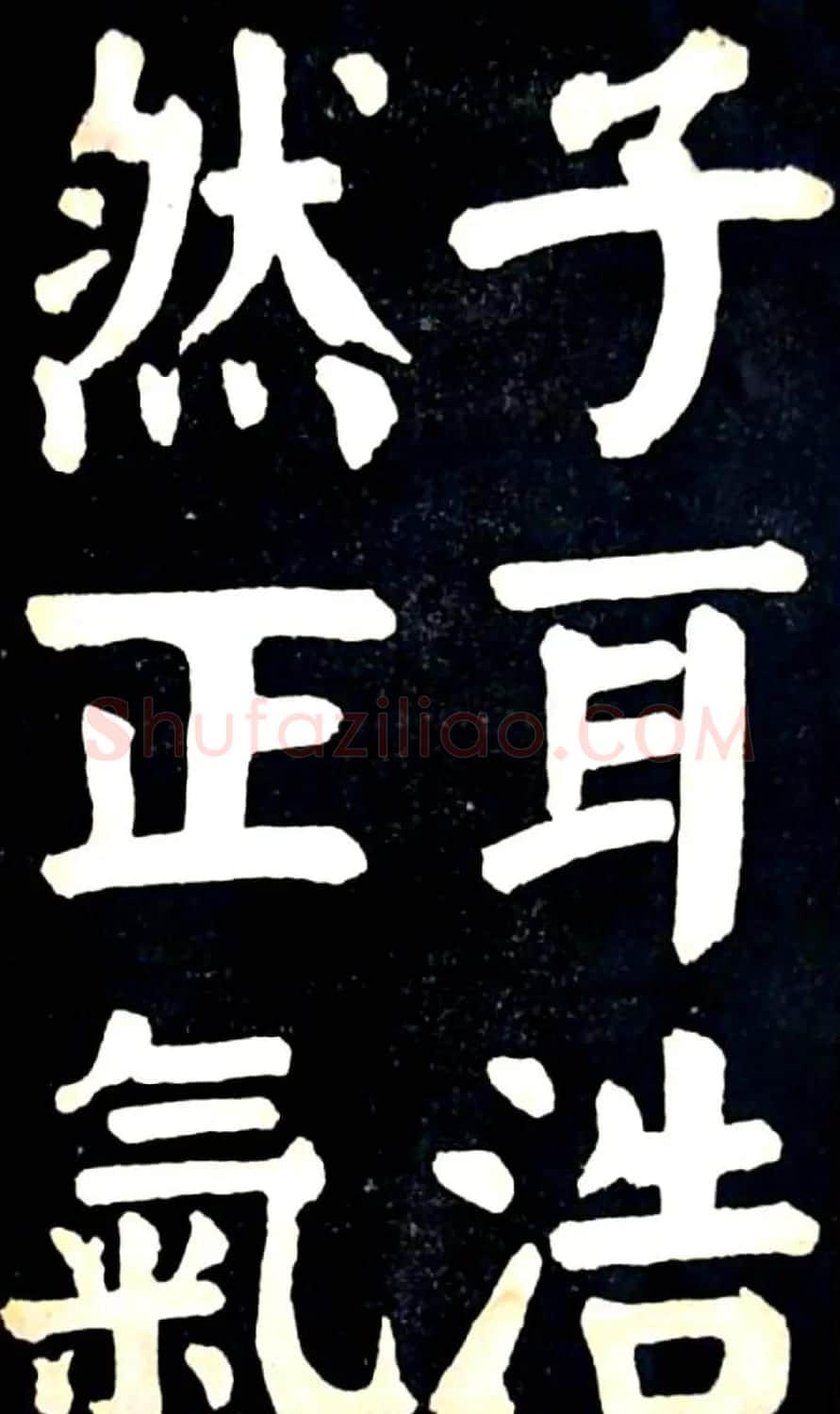 华世奎大楷字帖《南皮张氏双烈女庙碑》 | 毛笔楷书字帖