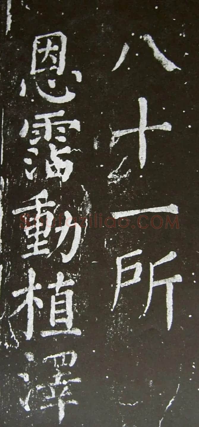 颜真卿楷书拓本《乞御书题天下放生池碑额表》 | 名家书法作品精选