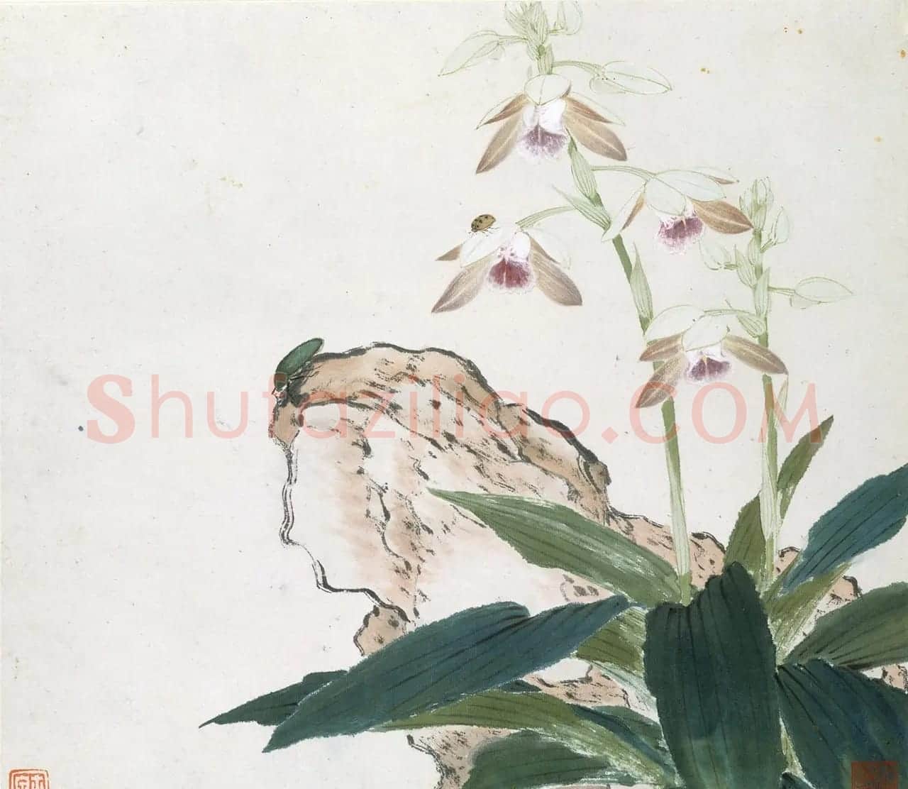 清代居廉花卉虫草册页八开 | 传世书法作品欣赏