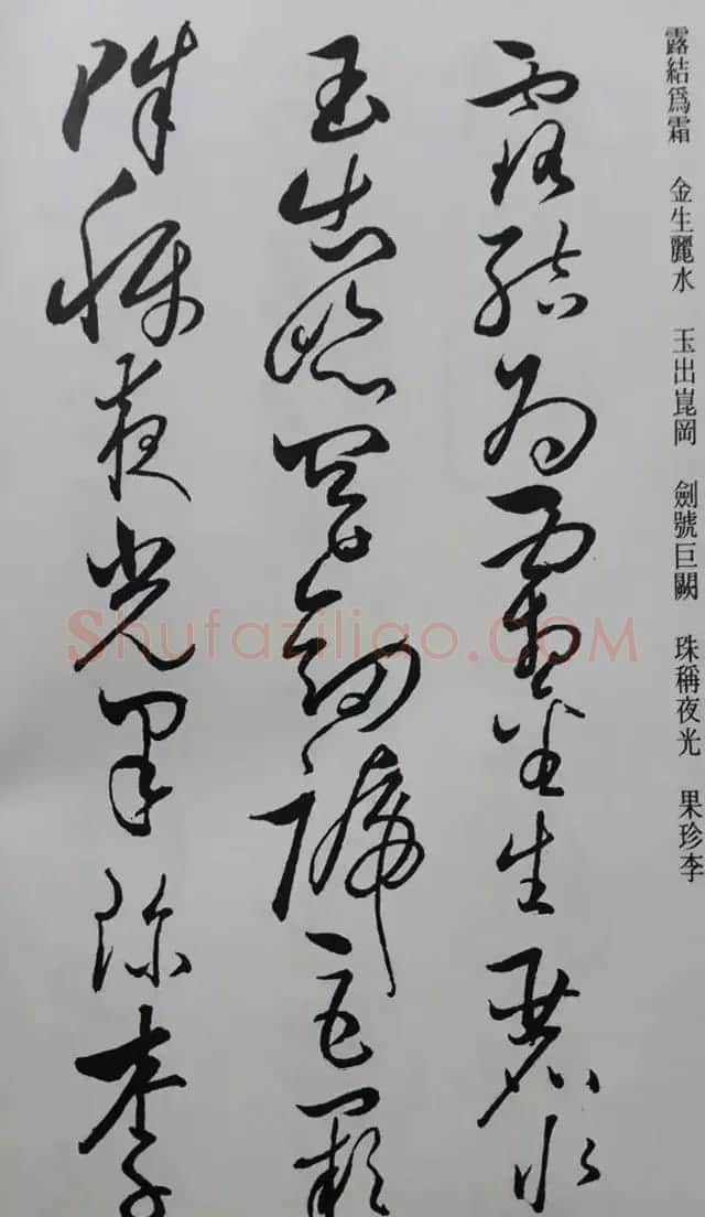 罕见的怀素草书《千字文》净云枝藏帖 | 软笔草书字帖