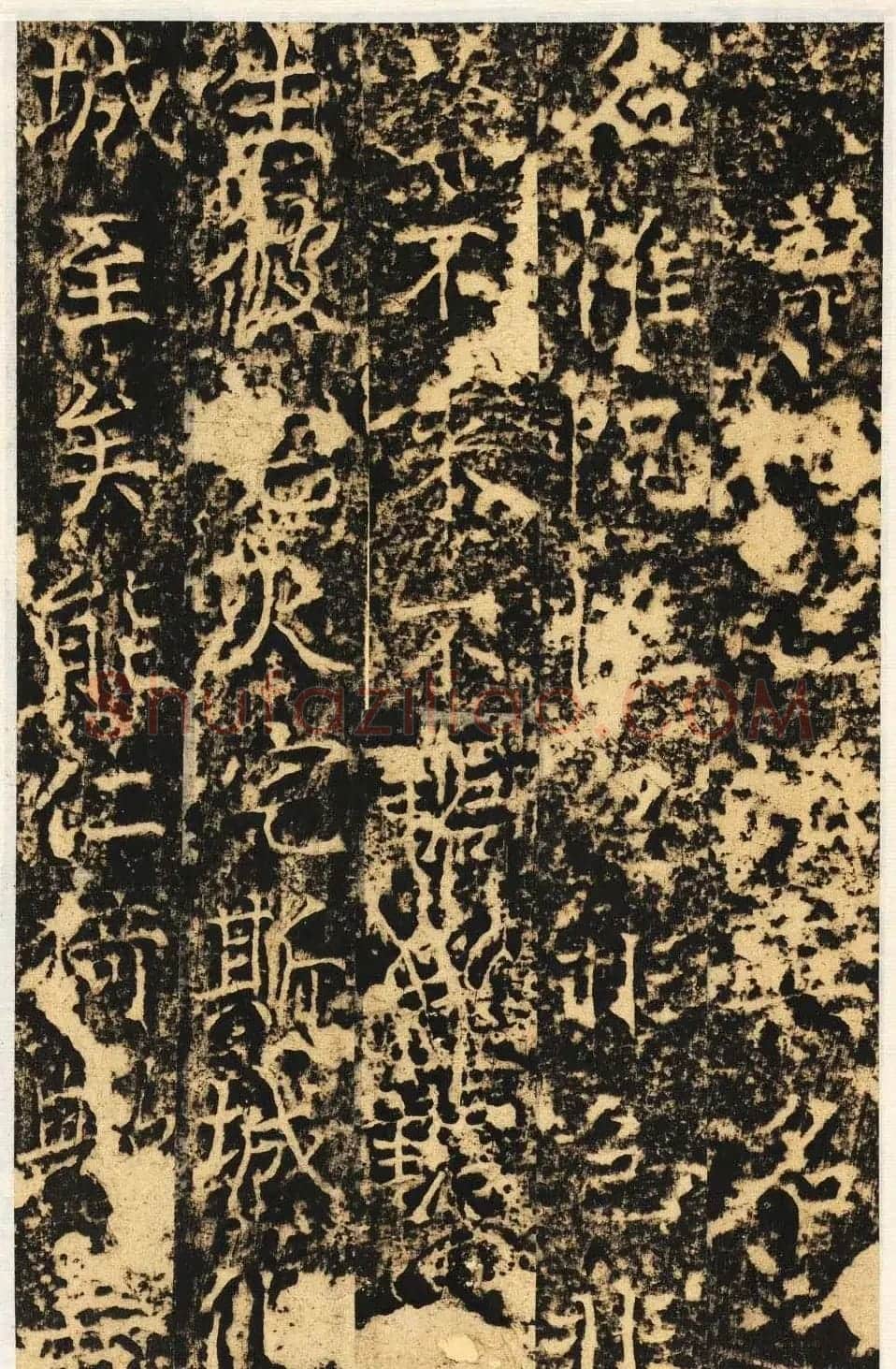 唐代楷书石刻《信法寺弥陀像碑》 | 书法碑帖