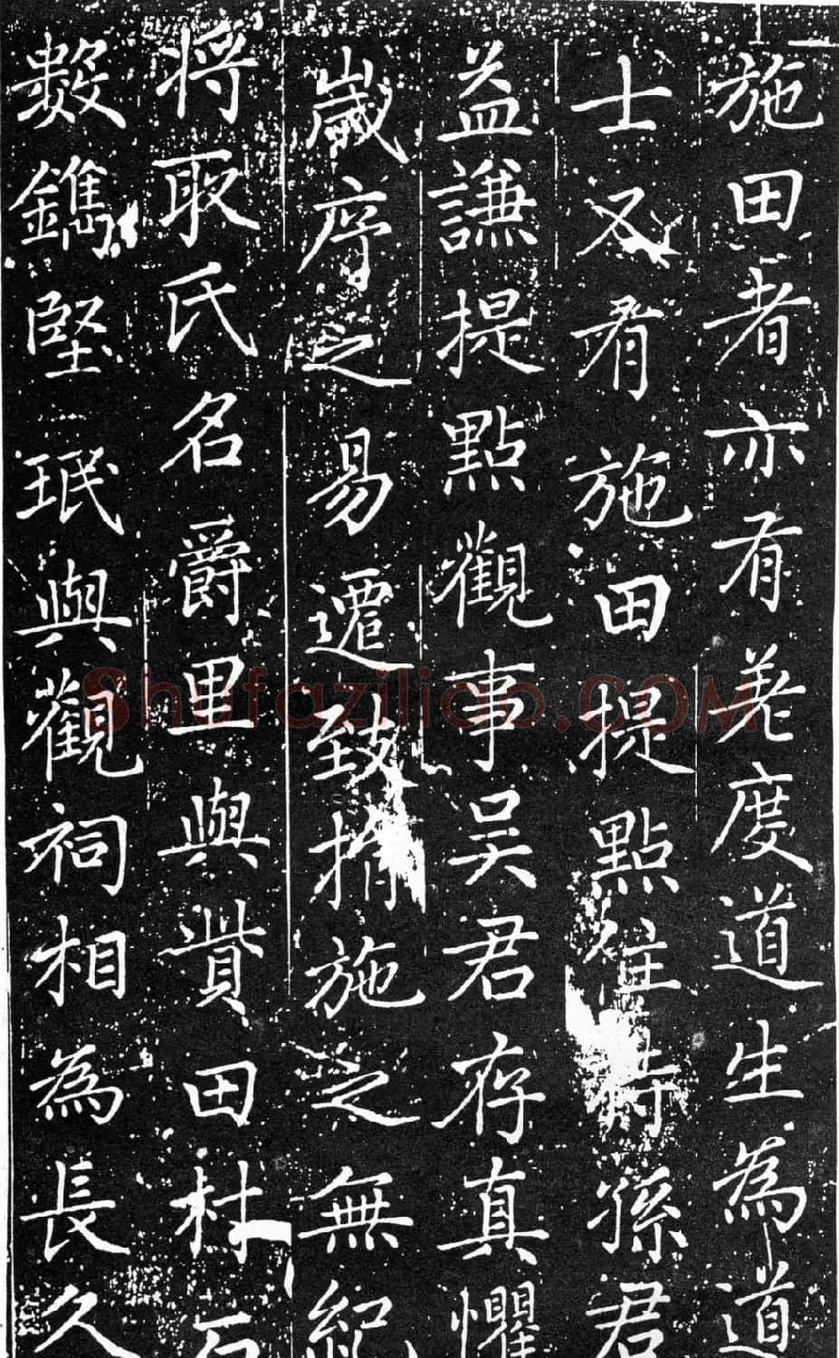 赵孟頫64岁楷书《佑圣观捐施提名记》 | 名家书法作品精选