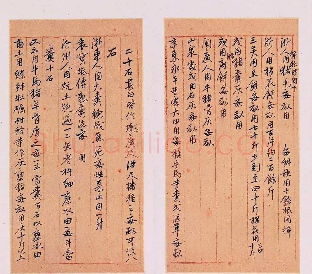 明代徐光启手迹欣赏《农政全书札记册》 | 书法名家作品欣赏