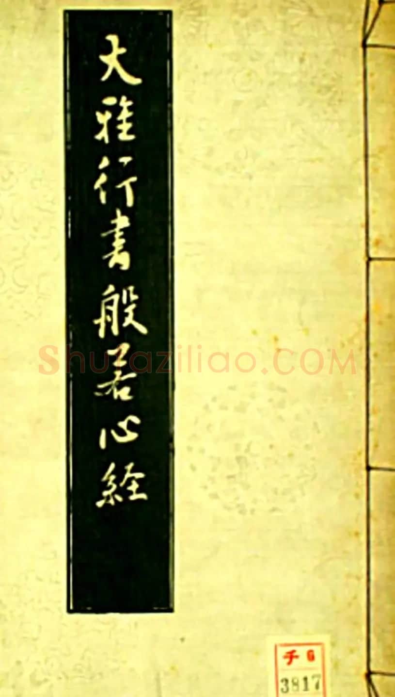 池无名书法《大雅行书般若心经》 | 书法心经全文