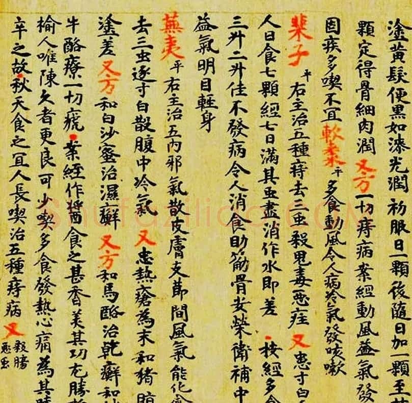 敦煌遗书墨迹--食疗药书残卷 | 敦煌写经赏析