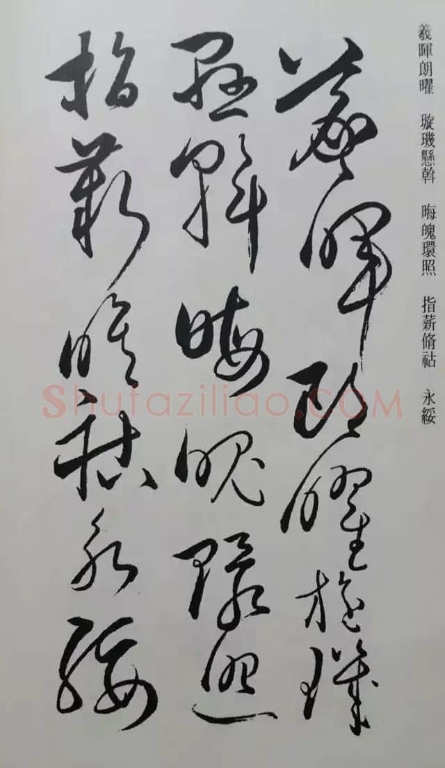 罕见的怀素草书《千字文》净云枝藏帖 | 软笔草书字帖