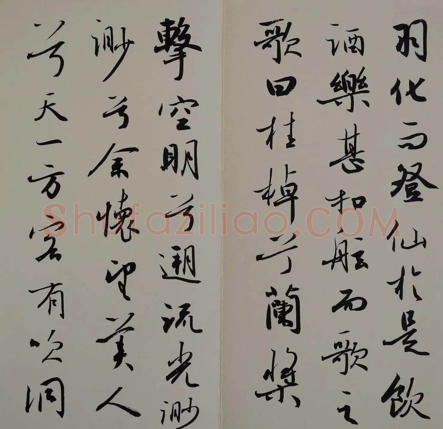 方放书法作品欣赏《苏轼赤壁赋》 | 书法作品欣赏