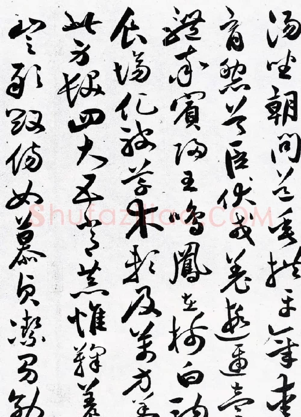明代草书第一人祝允明《草书千字文卷》两种 | 书法长卷