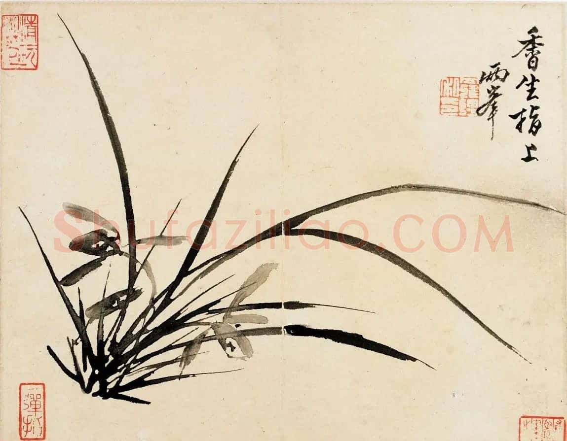 清代罗聘字画欣赏《花鸟山水册》 | 传世书法作品精选