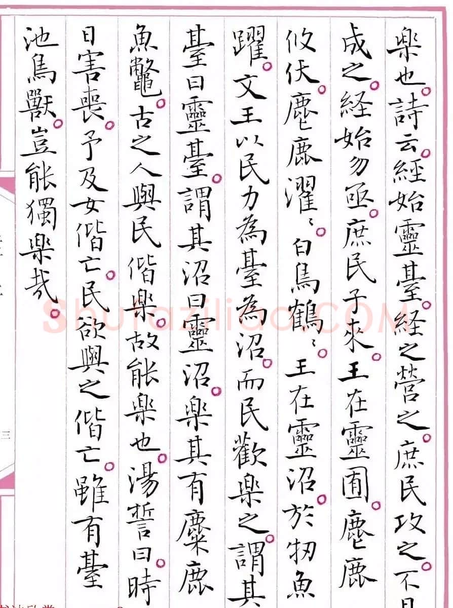 江苏书协主席孙晓云书《孟子》 | 毛笔书法作品