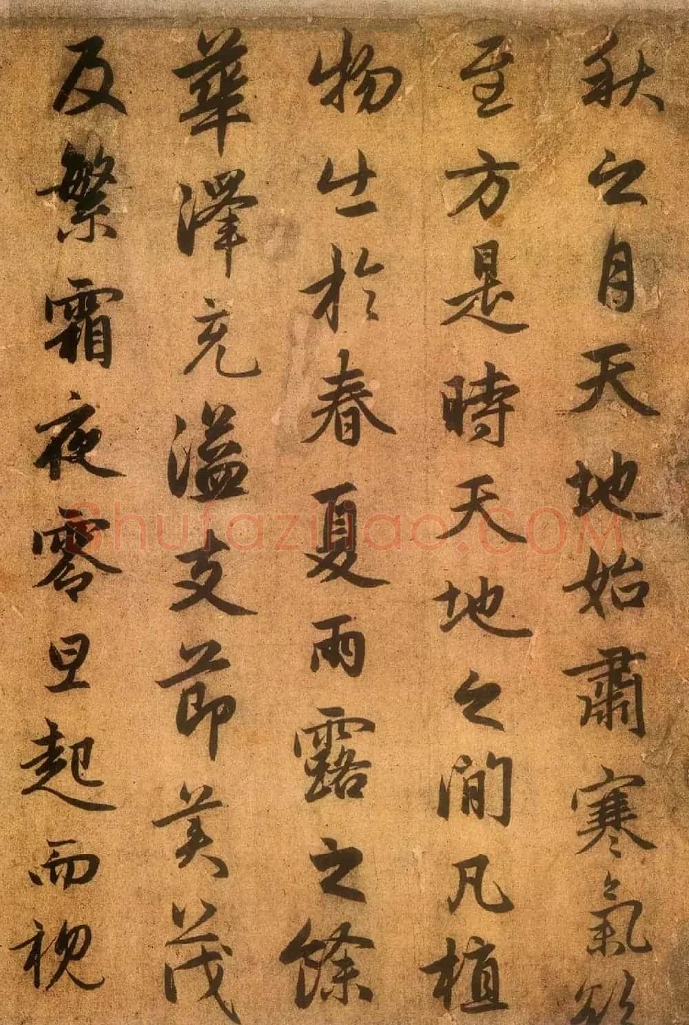 赵孟頫书法墨迹精品送秦少章序 | 名家书法作品赏析