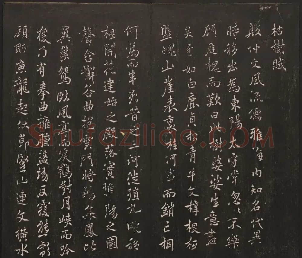 杨守敬集邻苏园法帖欣赏第七八卷合辑 | 书法碑帖