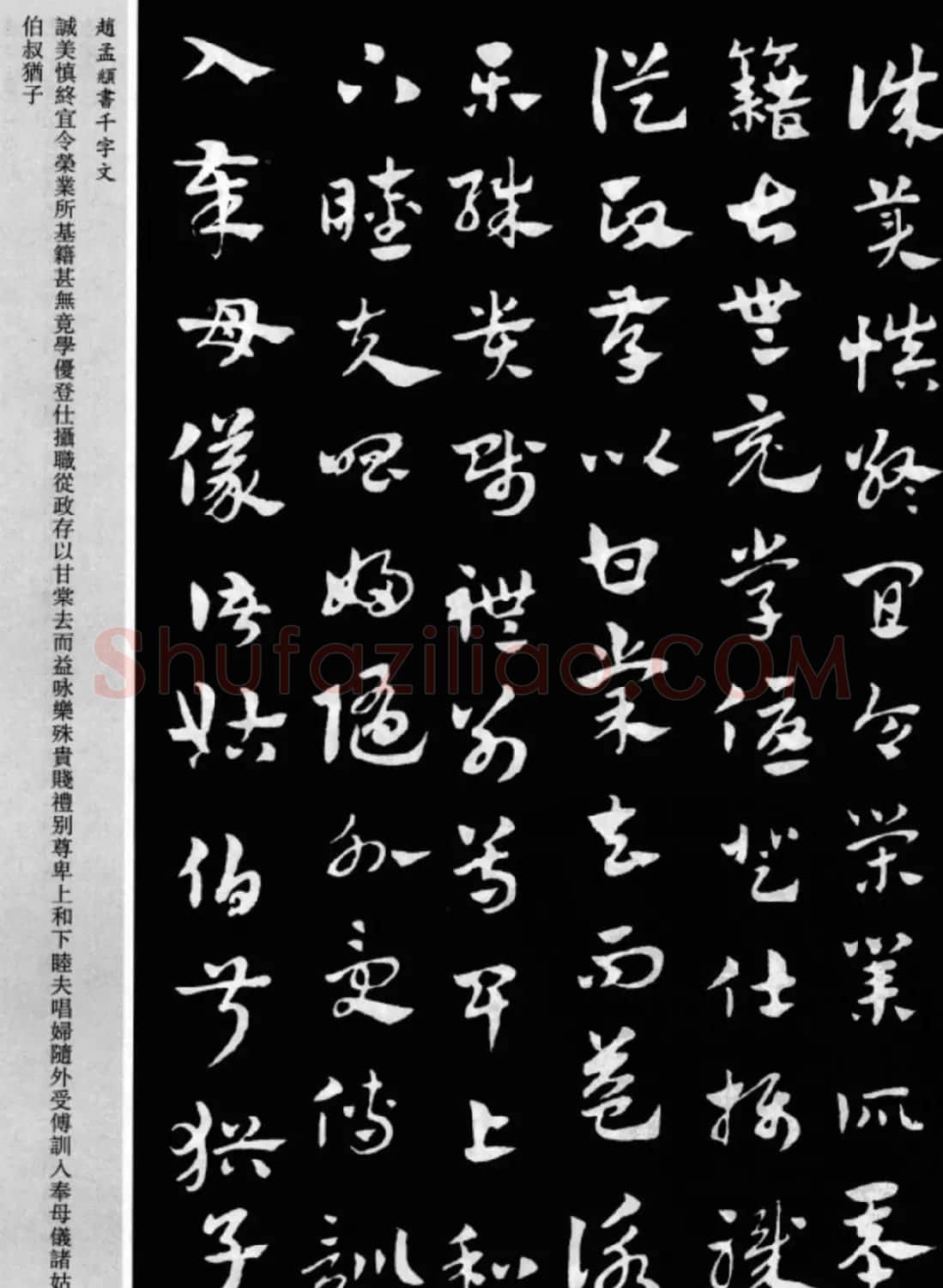 赵孟頫书法章草千字文(附释文)图片17P | 软笔草书字帖