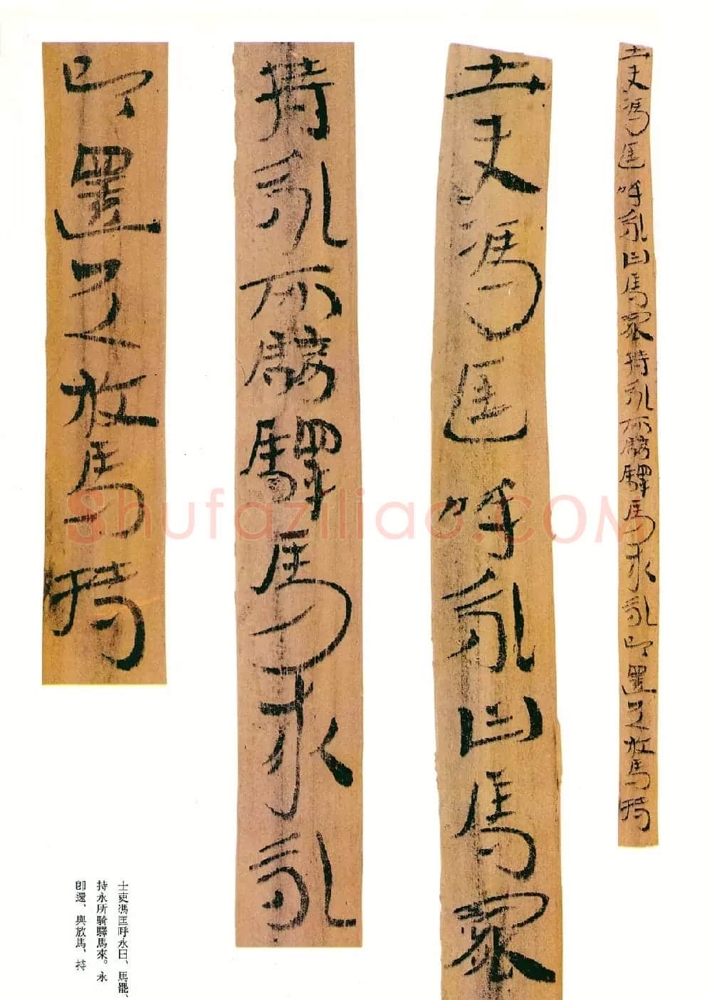 东汉章草隶体木简《误死马驹册》 | 书法作品欣赏