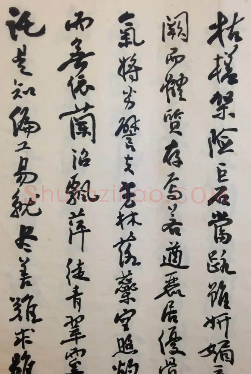 费新我书法册页欣赏《书谱》 | 书法作品欣赏