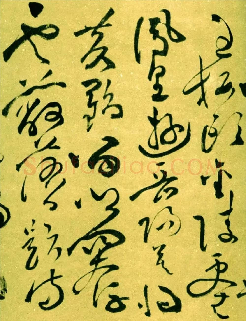 祝允明草书《济阳登太白酒楼却寄施湖州》 | 名家书法作品精选