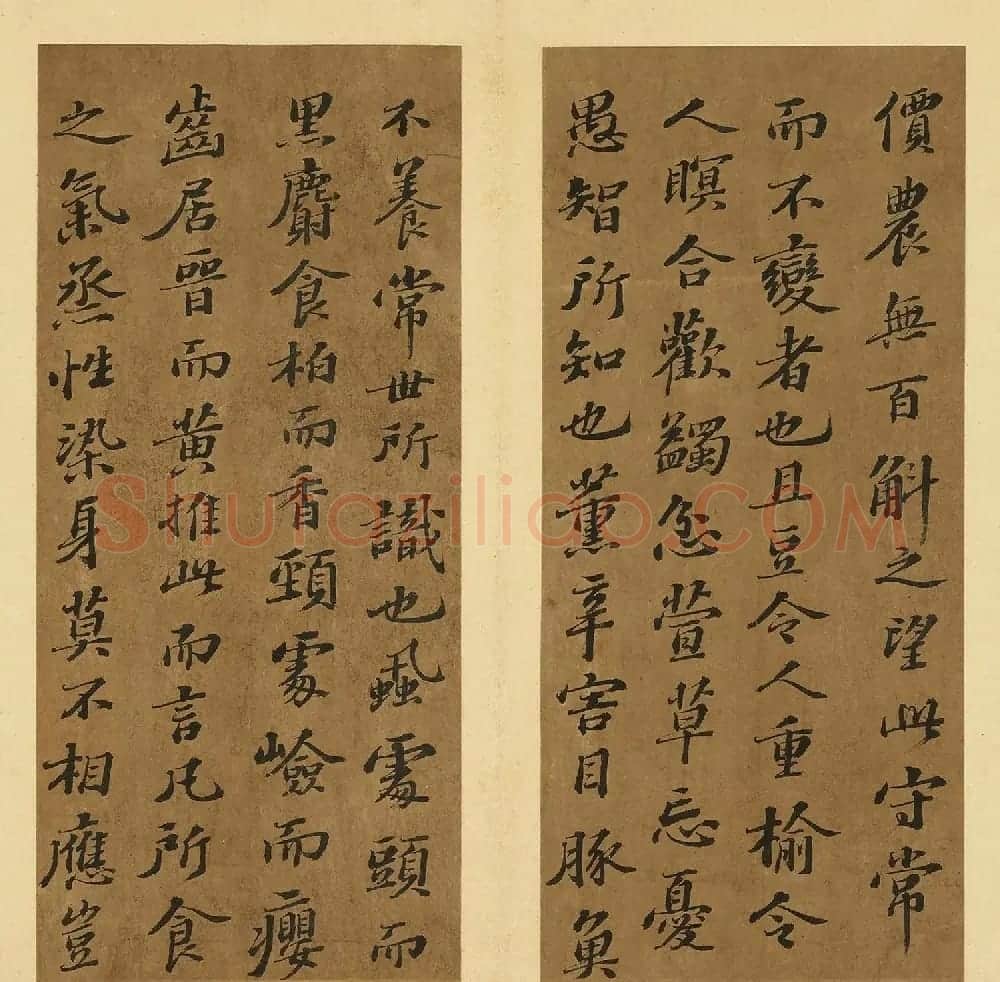 苏轼行书养生论真迹册 | 软笔书法作品