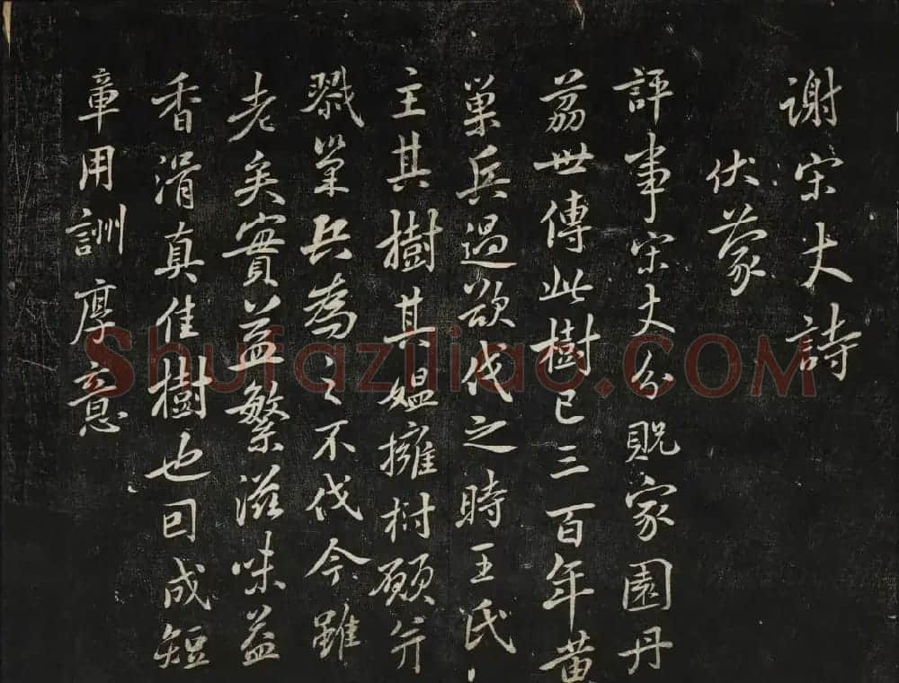 蔡襄法帖欣赏 御赐澄清堂第四册 | 书法碑帖