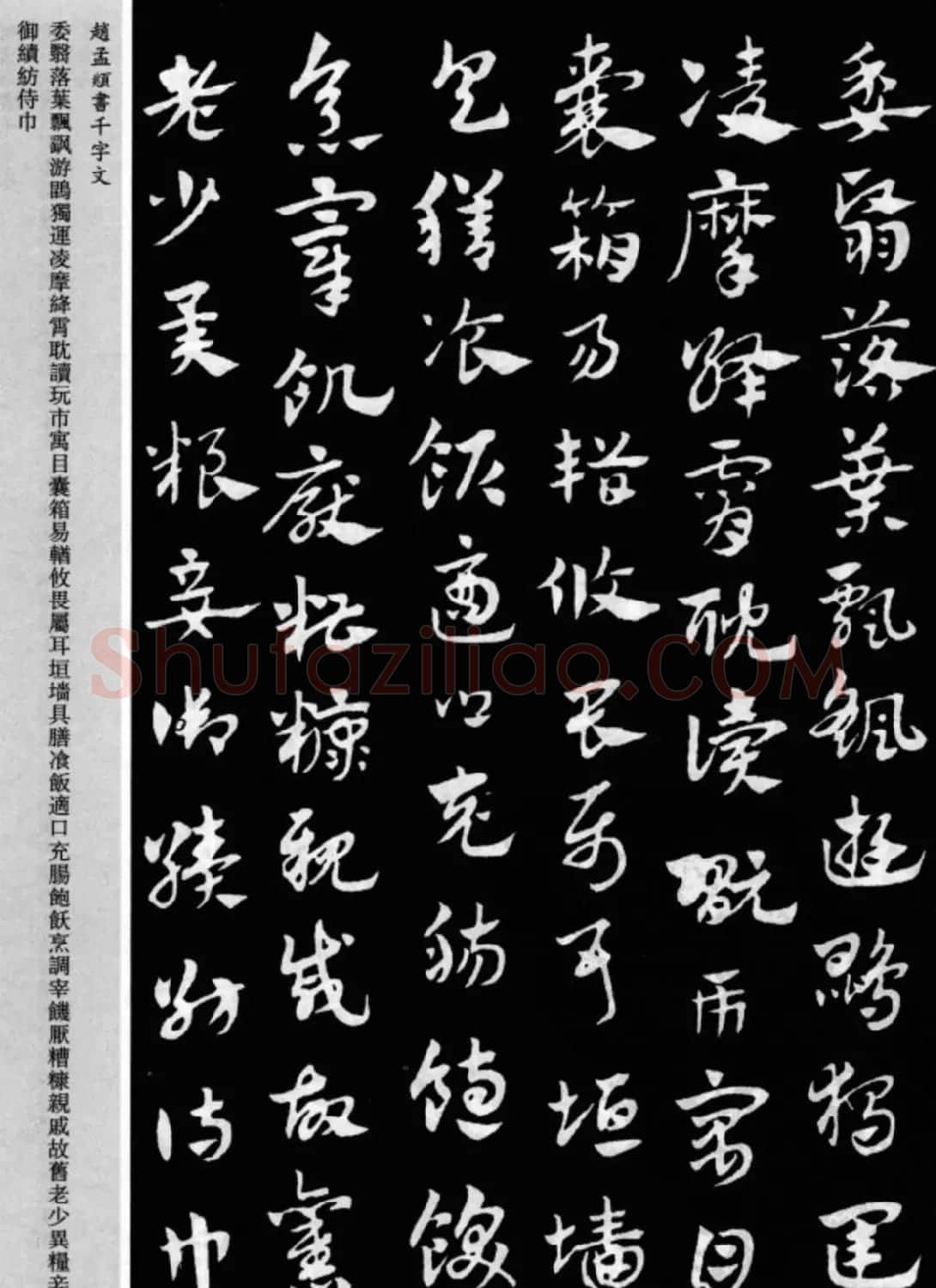 赵孟頫书法章草千字文(附释文)图片17P | 软笔草书字帖