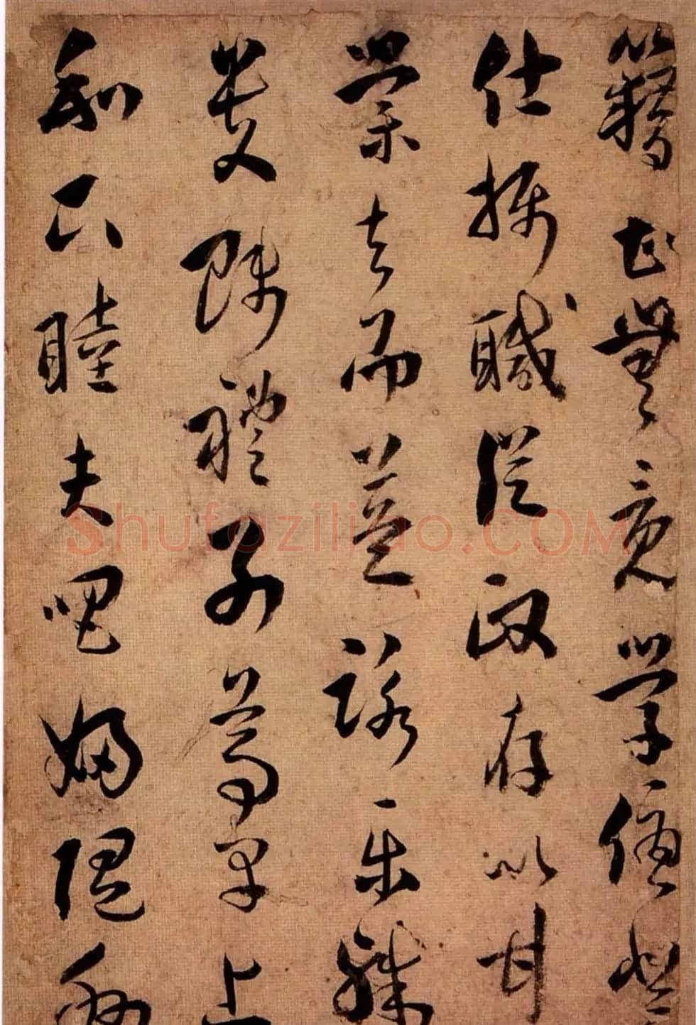 王应华草书欣赏《千字文册》 | 毛笔草书字帖