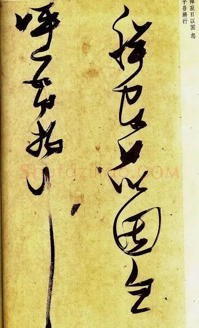 《明张瑞图草书偶然作》册页欣赏 | 毛笔草书字帖