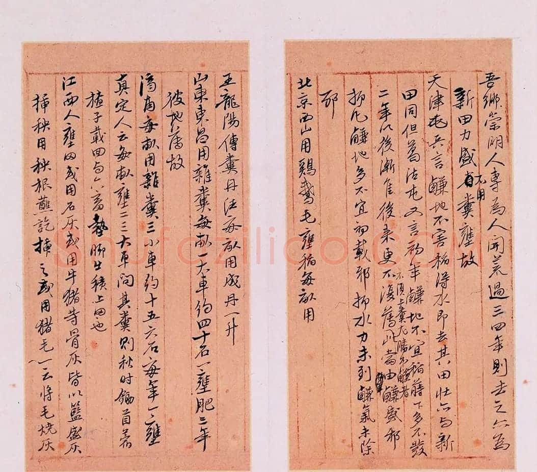 明代徐光启手迹欣赏《农政全书札记册》 | 书法名家作品欣赏
