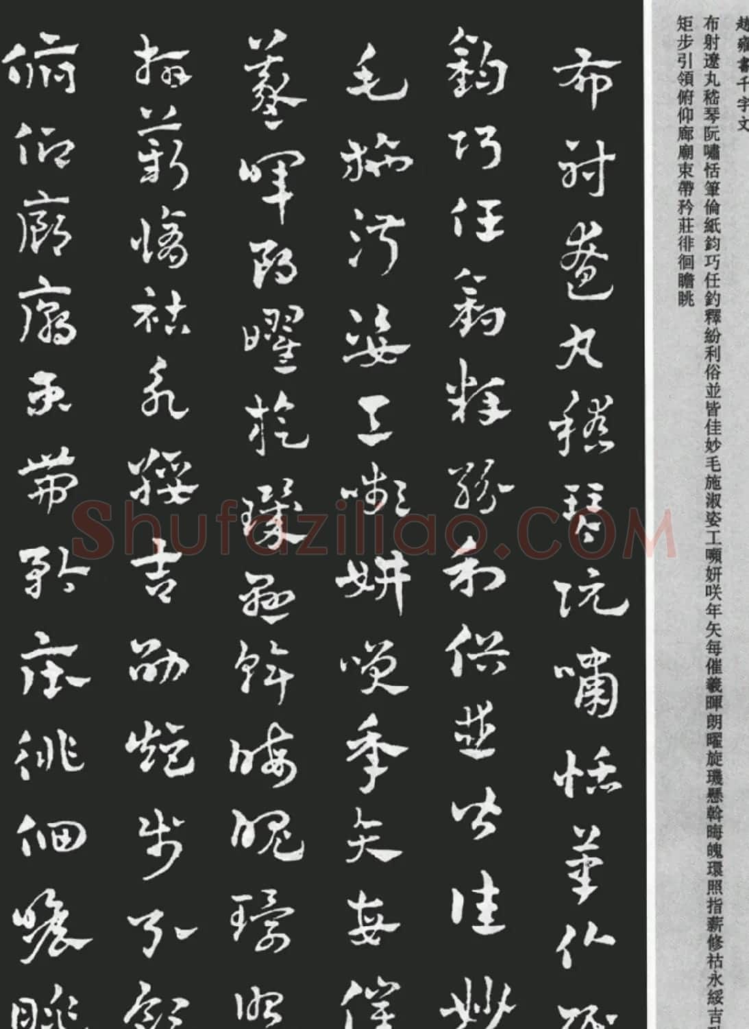 赵雍书法《章草千字文》大图欣赏 | 毛笔草书字帖