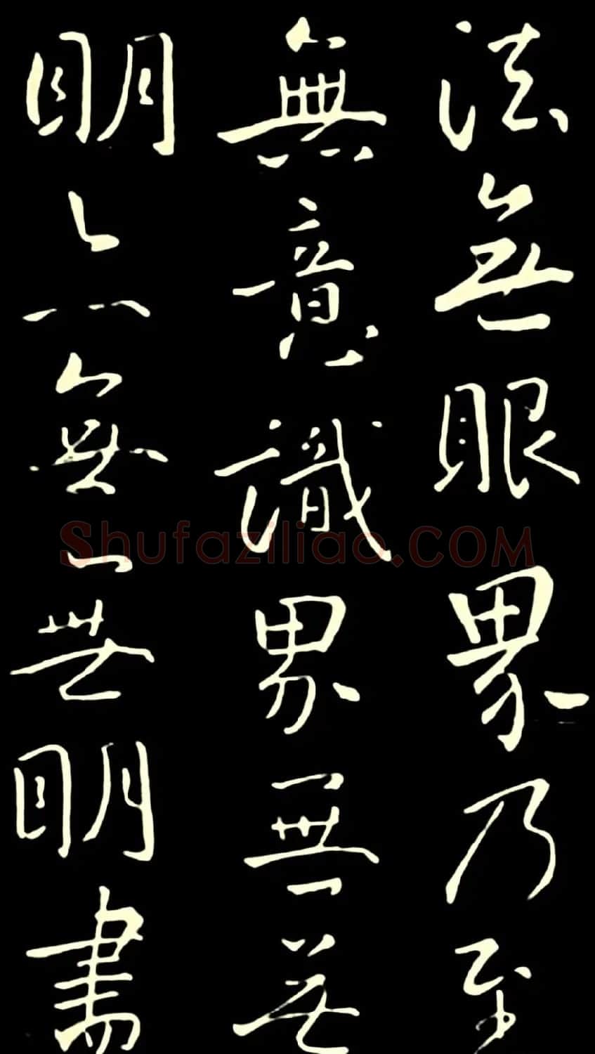 池无名书法《大雅行书般若心经》 | 书法心经全文