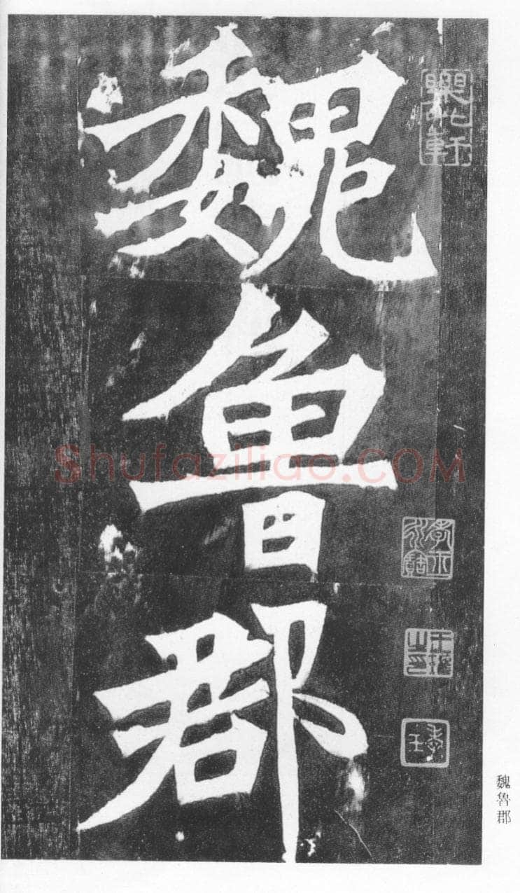 张猛龙碑前秦北朝碑刻碑拓,摘自前秦北朝张猛龙碑(全本)