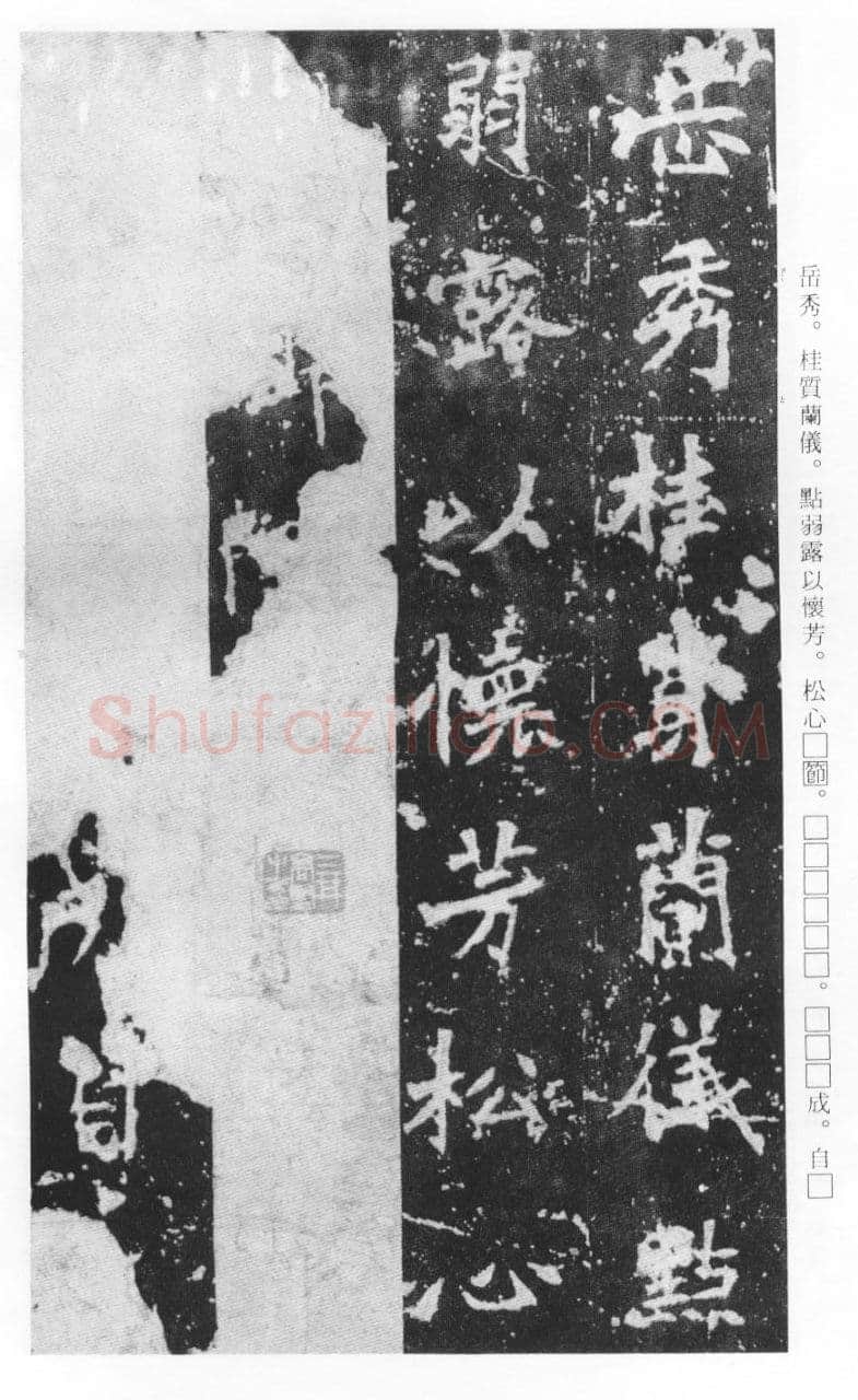 张猛龙碑前秦北朝碑刻碑拓,摘自前秦北朝张猛龙碑(全本)