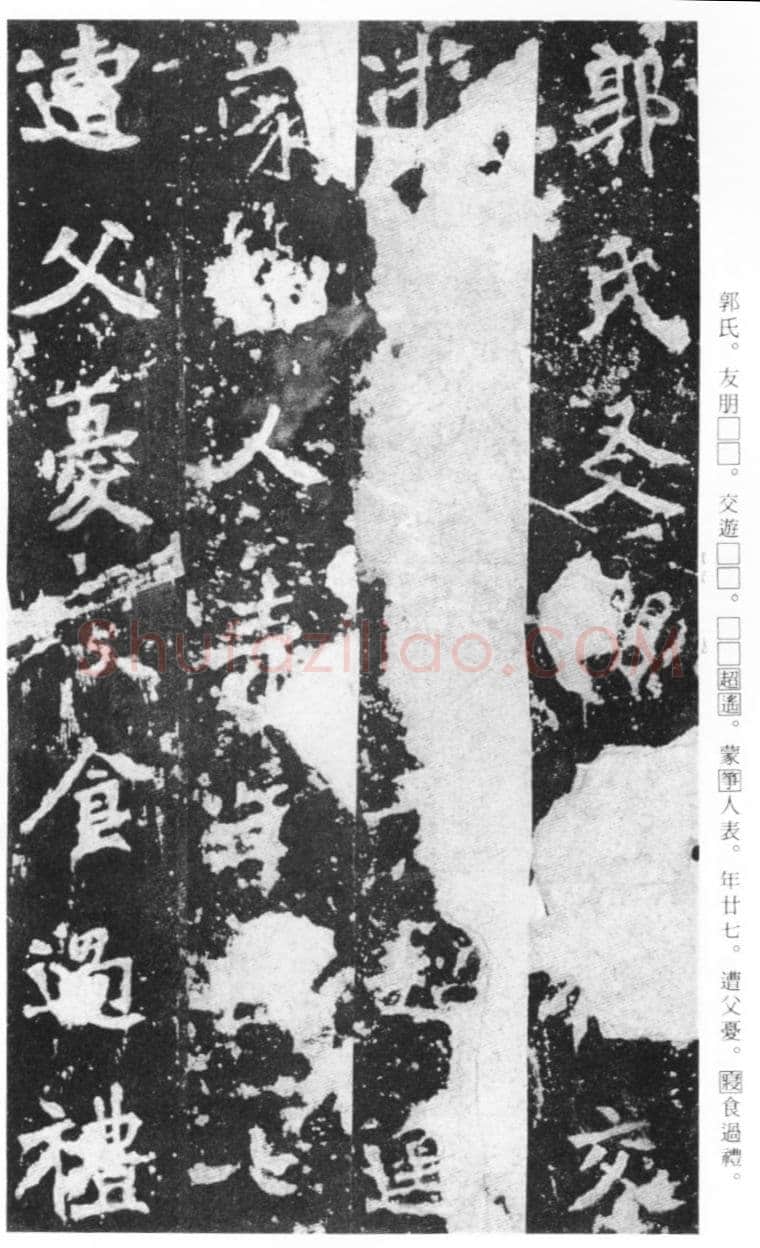 张猛龙碑前秦北朝碑刻碑拓,摘自前秦北朝张猛龙碑(全本)
