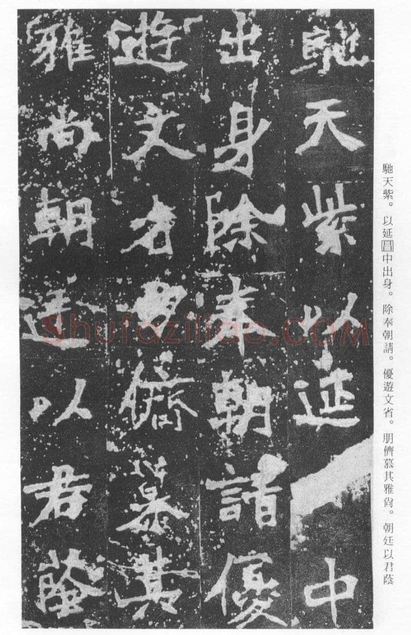 张猛龙碑前秦北朝碑刻碑拓,摘自前秦北朝张猛龙碑(全本)
