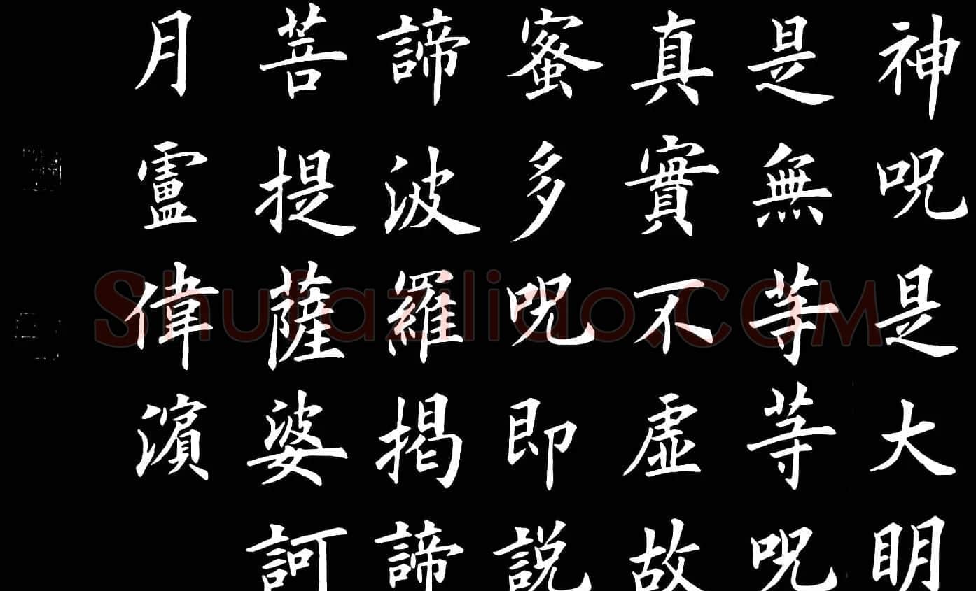 卢伟滨楷书欣赏般若波罗蜜多心经 | 心经书法作品