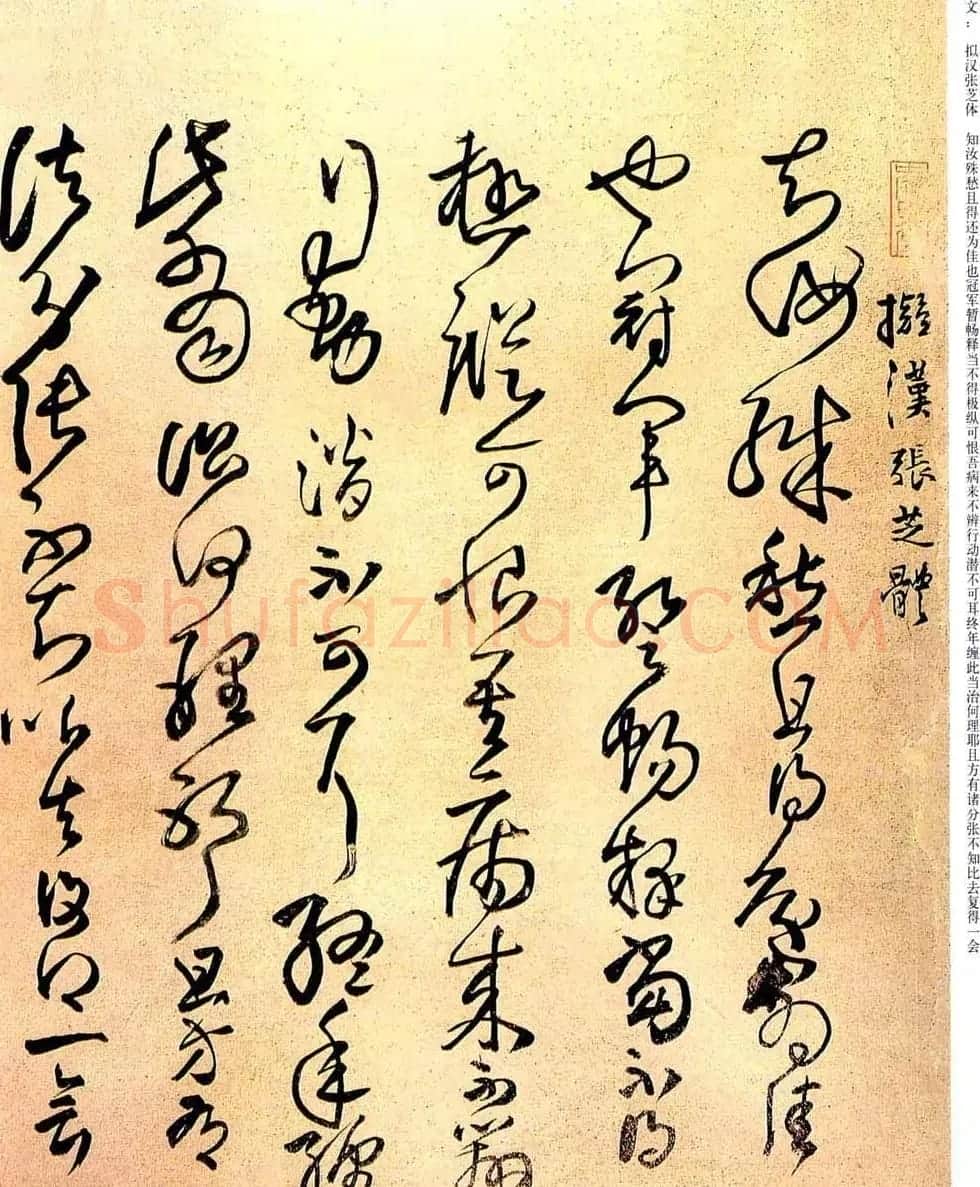 王铎草书欣赏拟汉张芝书法册页 | 书法名家作品鉴赏