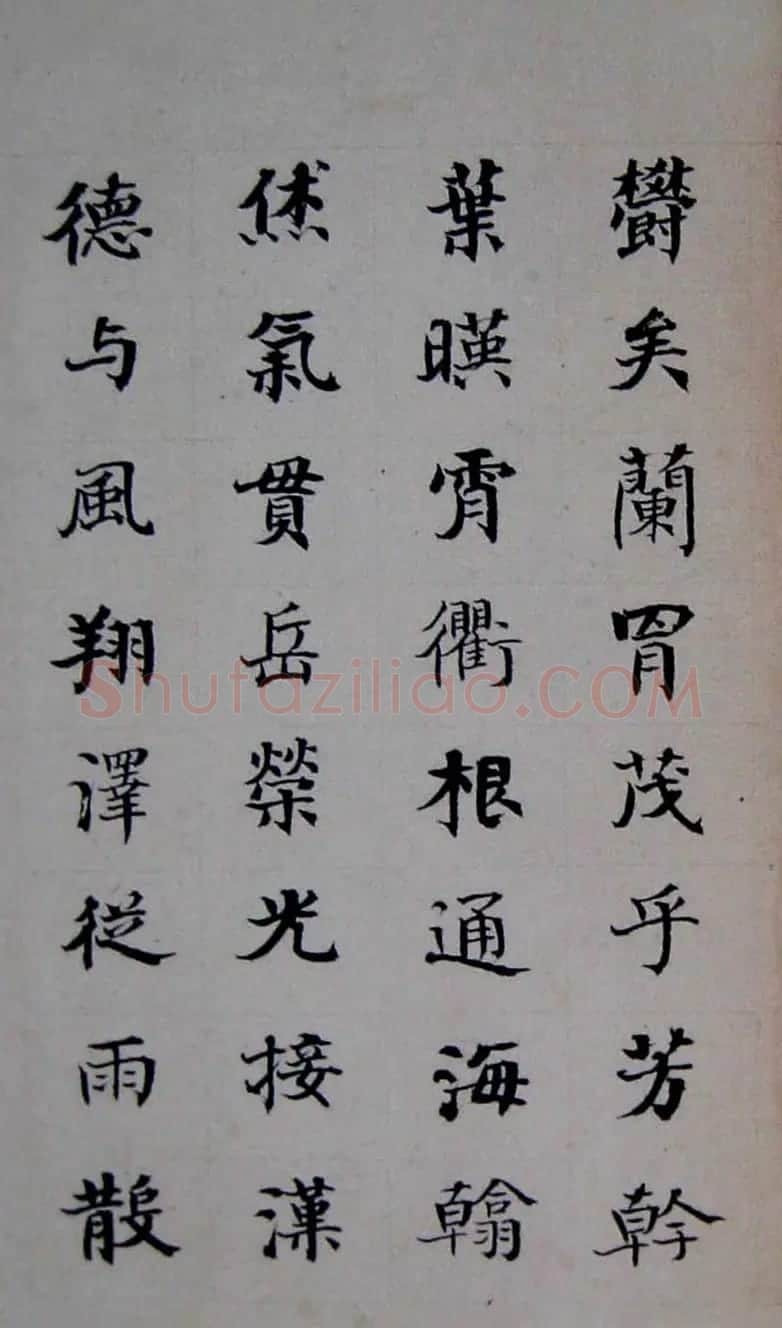 晚清书画家何绍基临《张黑女墓志》 | 名家书法作品赏析