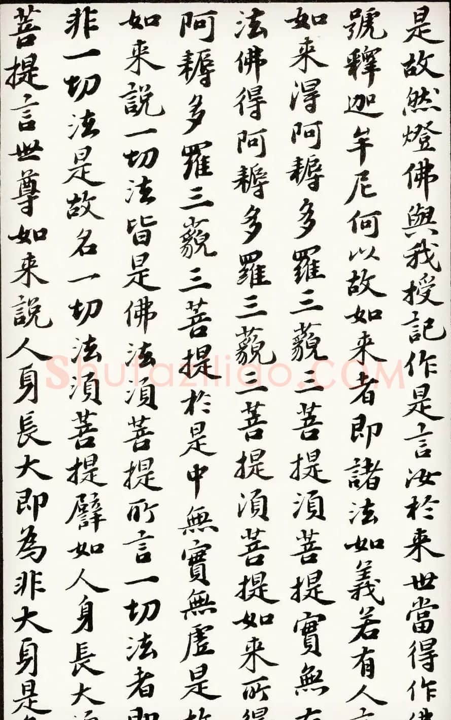 苏轼行楷书法欣赏《金刚经》全本 | 毛笔书法作品