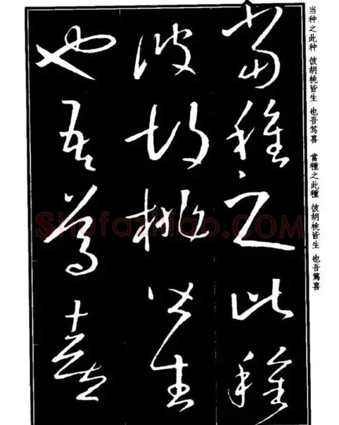 书法字海《王羲之草书十七帖解析字帖》 | 毛笔草书字帖