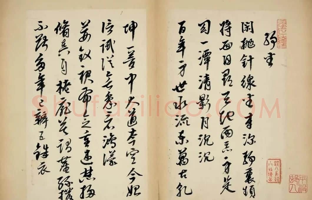 明代女书画家邢慈静草书欣赏 | 名家书法作品赏析