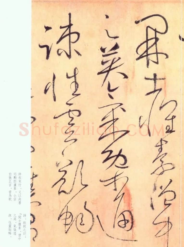 怀素草书《自叙帖》书法图片45P | 书法碑帖