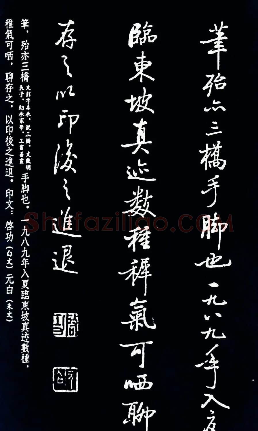 启功书法《临苏东坡前后赤壁赋》 | 毛笔书法作品